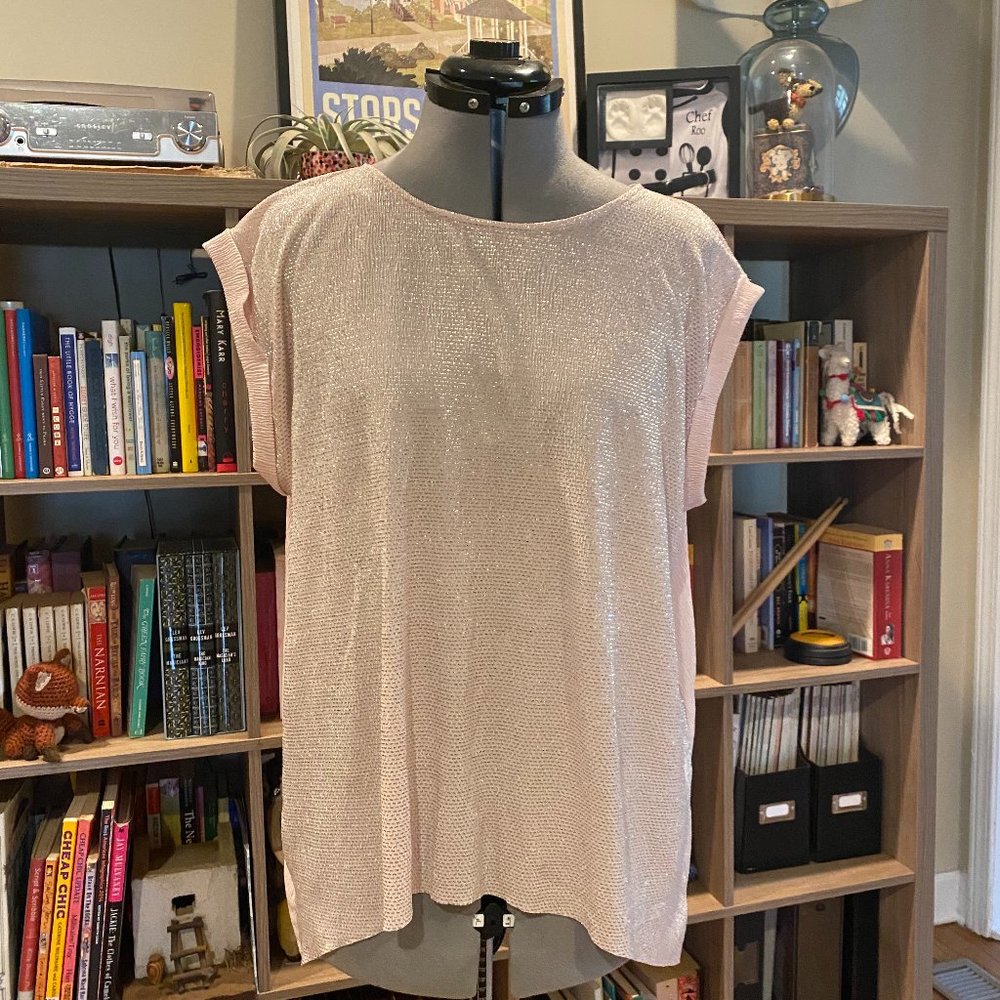 Pink Glittery Batwing Top